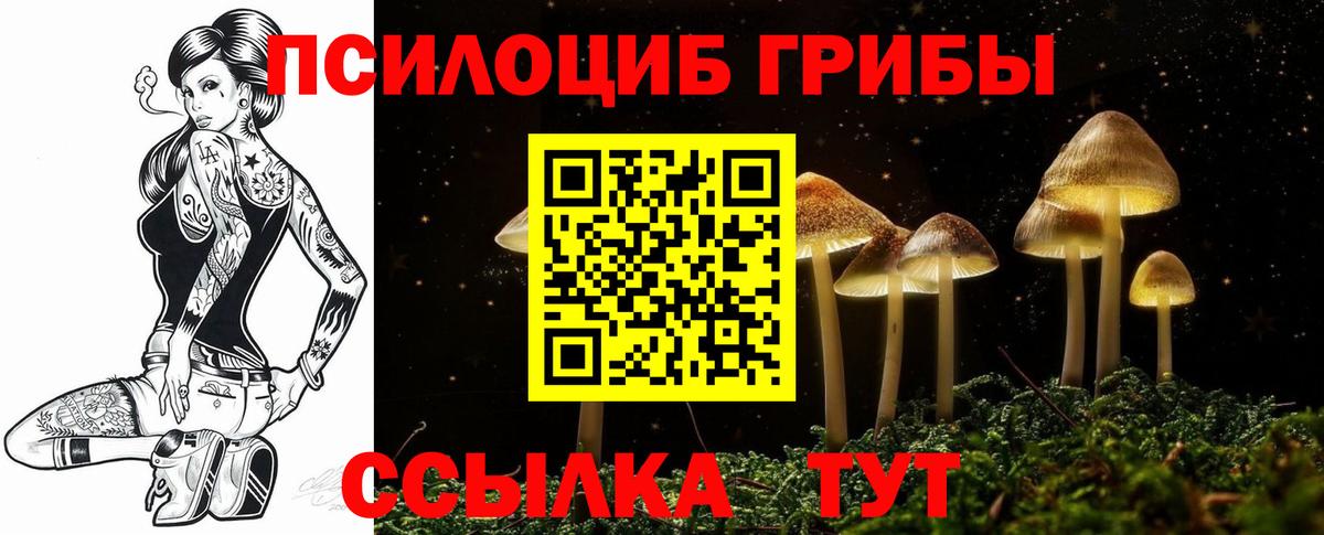Псилоцибиновые грибы Psilocybine cubensis Нижневартовск