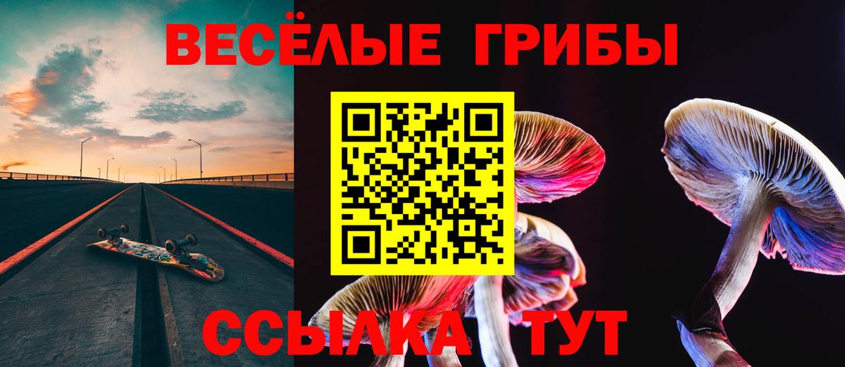 Псилоцибиновые грибы Psilocybine cubensis  Вход с VPN  Нижневартовск 