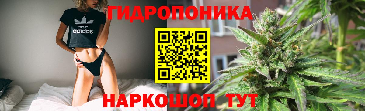 Каннабис индика Нижневартовск